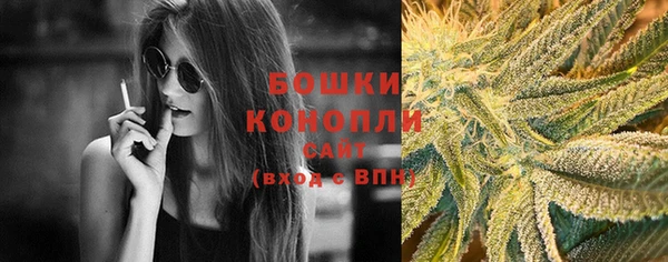 соль ск Липки